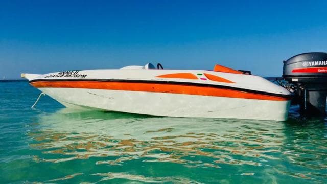 Punta Cana Amazing Experience in Speed Boat with Snorkelling - Photo 2 (Gallery view)
