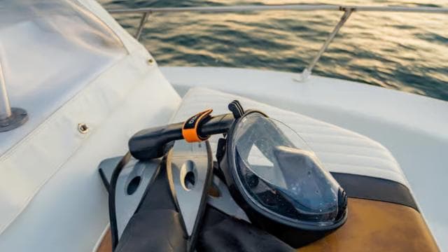 Costa Rica : croisière privée sur la plage et la plongée en apnée - Photo 3 (Gallery view)