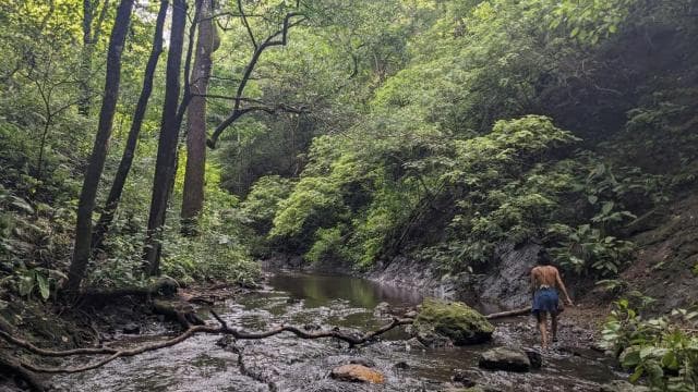 Private Tour Diria National Park Unspoken Hiking and Nature - Photo 3 (Gallery view)
