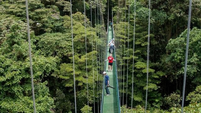 Monteverde: 3-in-1 Sky Tram, Sky Trek and Sky Walk - Photo 2 (Gallery view)