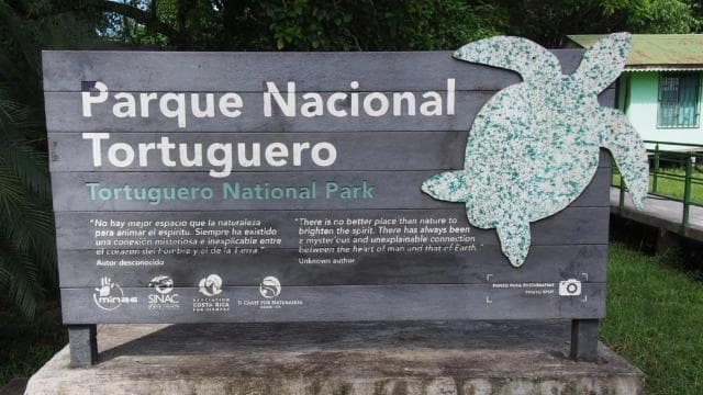 TURTLE WATCHING IN TORTUGUERO COSTA RICA - Photo 5 (Gallery view)