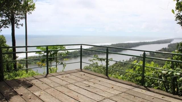 Tortuguero: Hike the Cerro Tortuguero Trail - Photo 2 (Gallery view)