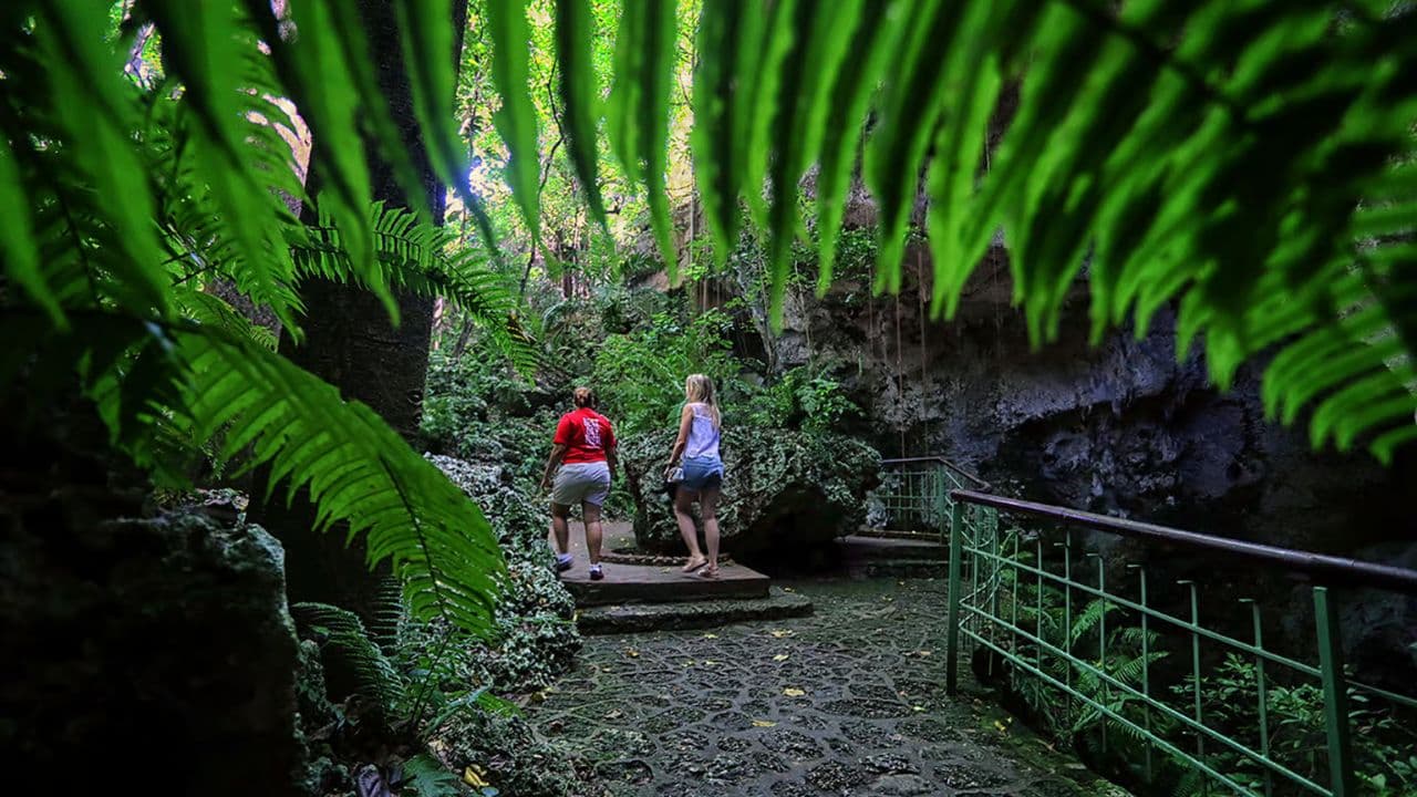Santo Domingo: Three Eyes National Park Immersion - Photo 4 (Gallery view)