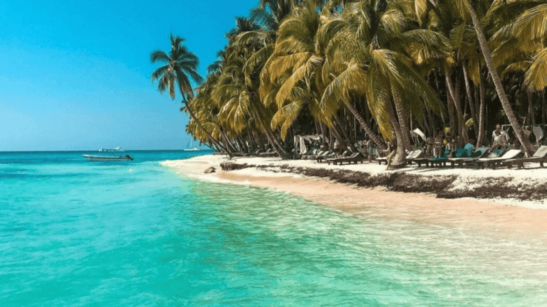Saona Island tout jounen ak pickup nan otèl ou Punta Cana - Photo 3 (Gallery view)