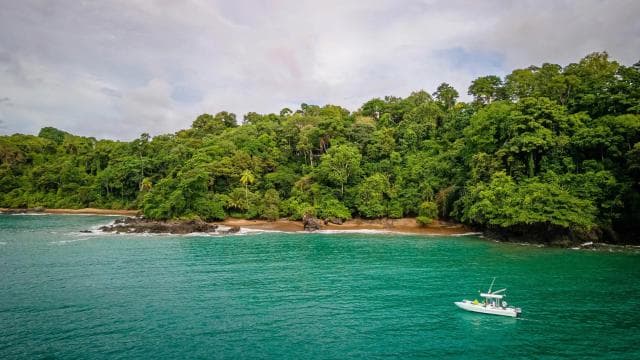 Parco Nazionale del Corcovado: Tre Giorni e Due Notti Corcovado - Photo 3 (Gallery view)