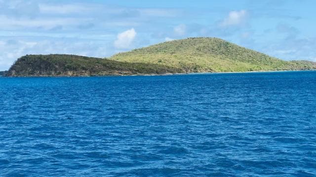Icacos Island: Swim, Snorkel & Relax - Inclusive Boat Trip - Photo 3 (Gallery view)