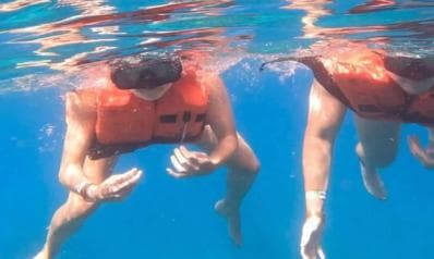 Private: Catalina Island Diving Tour with Lunch (Copy) - Photo 2 (Gallery view)