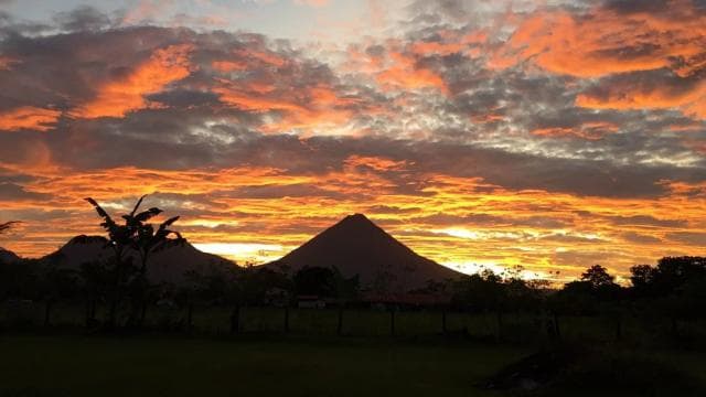 Fortuna Arenal : Selva Tropical Puentes Colgantes del Arenal - Photo 5 (Gallery view)