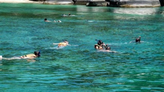 La Romana: Catalina Island Day Trip with Lunch & Drinks - Dominican Republic