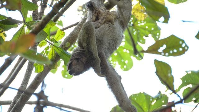 Nauyaca Full Day - Photo 4 (Gallery view)