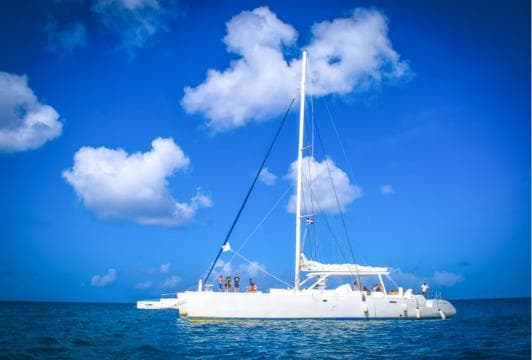 Bayahibe: Full-Day Saona Island Excursion - Photo 4 (Gallery view)