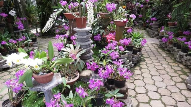 San José : volcan Irazú, excursion d'une journée à Orosi et jardins Lankester - Photo 3 (Gallery view)