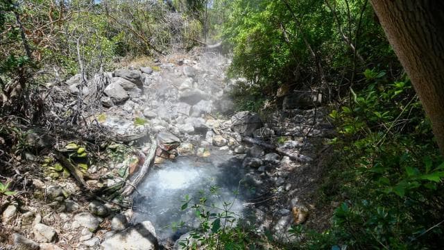 Rincón de la Vieja: Las Pailas trail + Oropendola - Photo 5 (Gallery view)