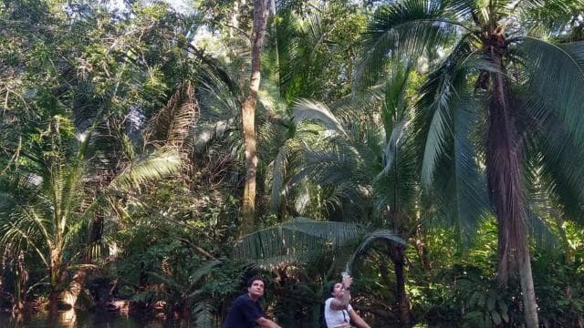 Punta Uva: Kayak and Sloth Watching Tour - Photo 3 (Gallery view)