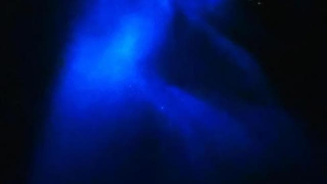 Bioluminescence Night Snorkeling Tour From Pochote Beach - Photo 4 (Gallery view)