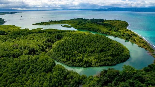 Puerto Jimenez Historic Walking Tour - Dominican Republic