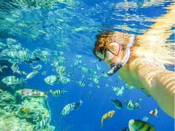 Puerto Plata: Snorkeling Excursion to Sosúa Bay - Photo 2 (Gallery view)