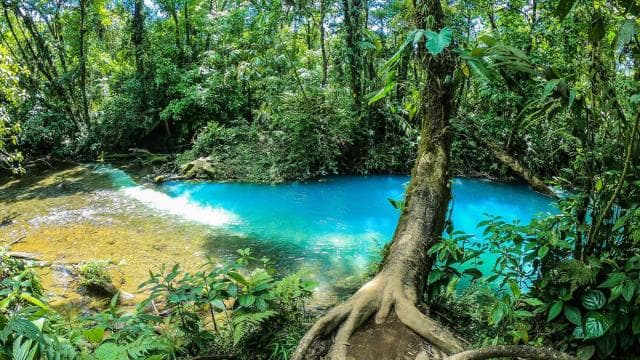 La Fortuna: Rio Celeste Full Day Tour - Photo 3 (Gallery view)