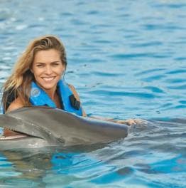 Punta Cana: Enjoy Dolphin Free Hotel Pickup - Dominican Republic