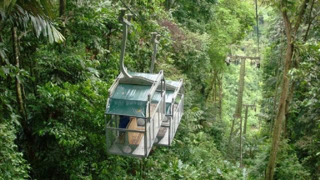 Puerto Limon: Veragua Rainforest & Tortuguero Canal Cruise - Photo 5 (Gallery view)