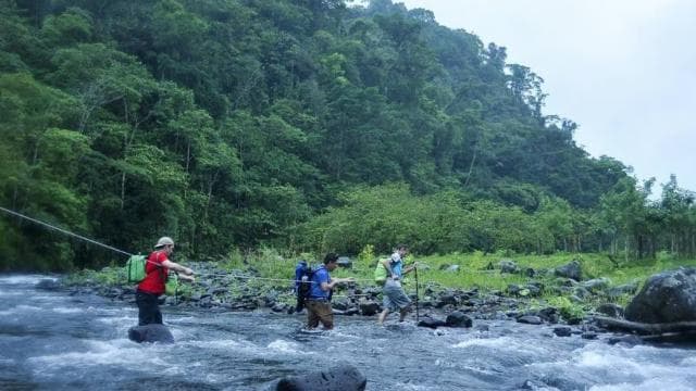 From Fortuna: 2 Day Hike to Monteverde with Hotel Transfer - Photo 2 (Gallery view)