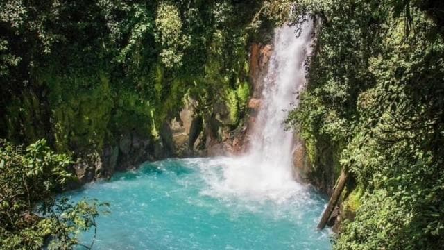 Záliv Papagayo: vodopád Rio Celeste a prehliadka lenochodov - Photo 3 (Gallery view)