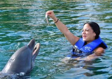 Puerto Plata Ocean World Dolphin Swim - Photo 2 (Gallery view)