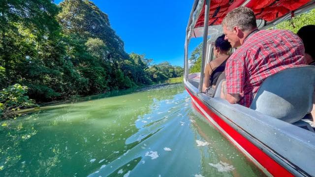 Puerto Limón: Tortuguero, Maratopia, Cahuita, banana plantation, and much more: tour - Photo 3 (Gallery view)