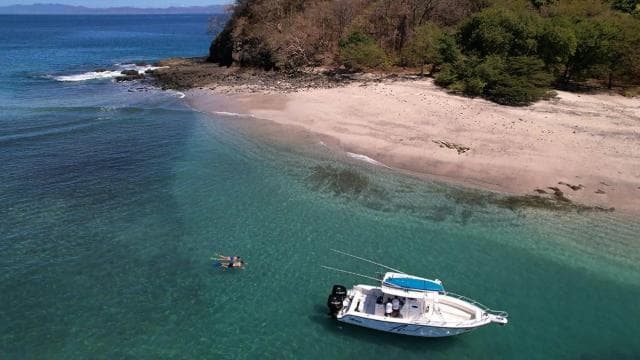 Guanacaste: Beach Exploration Tour with Local Guide - Photo 5 (Gallery view)