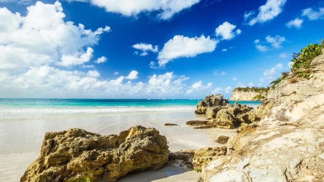 Punta Cana: Buggy Tour Adrenaline Rush Off-Road Adventure - Dominican Republic