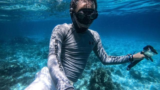 Dive into Paradise: Manzanillo's Dolphin, Snorkel and Lunch - Dominican Republic