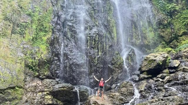 San Juan: Private Rainforest Waterfall Hike with Transport - Photo 3 (Gallery view)