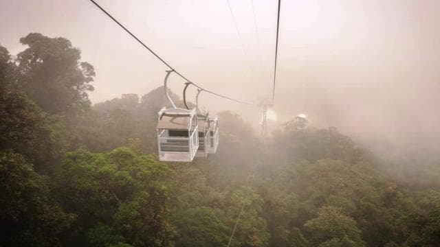 San Jose: Monteverde Sky Tram & Hanging Bridges Day Tour - Photo 5 (Gallery view)