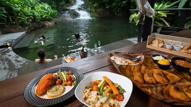 Spa or Jaguar Luxury Rainforest Experiences with Lunch - Dominican Republic