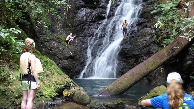 Rio Claro: Floating Tour with Lunch in Drake Bay - Photo 3 (Gallery view)