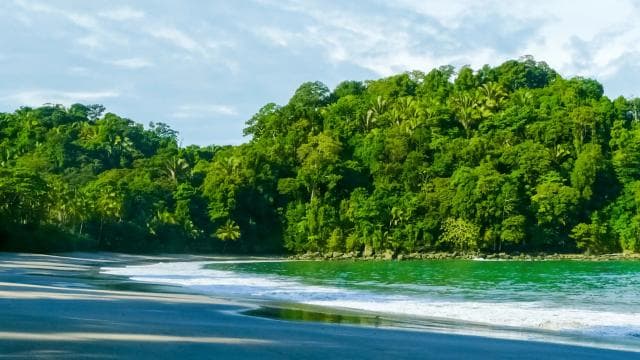 Manuel Antonio: Discover the tropical forests & white-sand - Photo 3 (Gallery view)