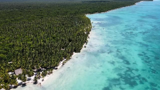 Punta Cana: All Inclusive Saona Island Experience - Photo 4 (Gallery view)