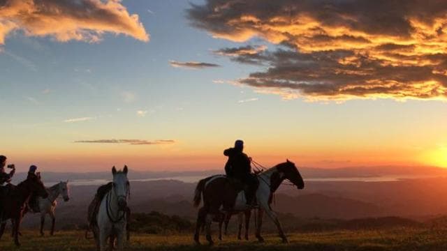 Monteverde: Horseback Riding Tour - Photo 3 (Gallery view)