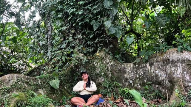 Manzanillo, Costa Rica: Forest Bathing Therapy - Dominican Republic