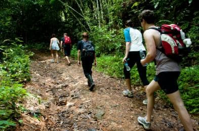 Private: Trekking to Pico Duarte, Caribbean’s Tallest Summit - Dominican Republic