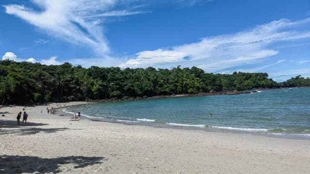 Manuel Antonio National Park: Guided Tour with ENTRANCE INCLUDED - Dominican Republic