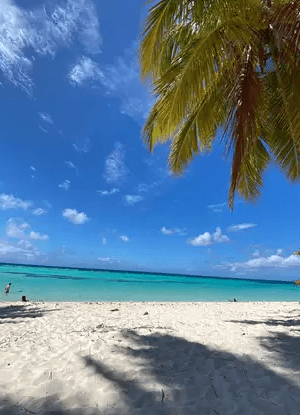 VIP na wyspie Saona: 4 plaże, Mano Juan i Canto de la Playa - Photo 4 (Gallery view)