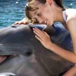 Dolphin Encounter for Dominican Residents - Photo 5 (Gallery view)