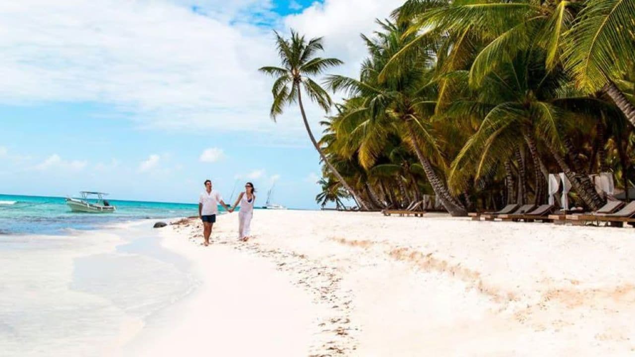 Punta Cana: Saona Island Day Trip with VIP Option - Photo 5 (Gallery view)