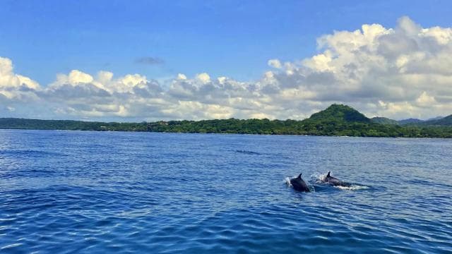 Santa Teresa: Tortuga Island Full Day Boat Tour with Snorkel - Photo 4 (Gallery view)