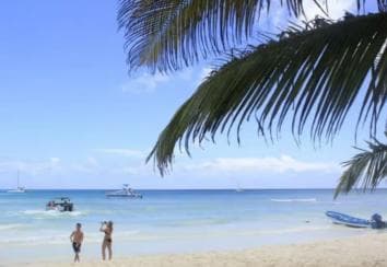 Private: Full-Day Excursion from Chavón & Saona Island - Photo 4 (Gallery view)