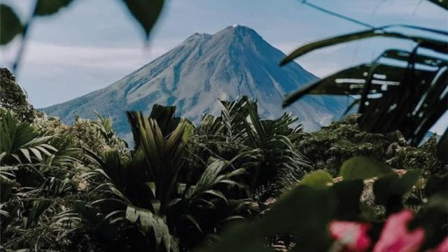San José: Arenal Volcano and Hot Springs with Lunch - Photo 2 (Gallery view)