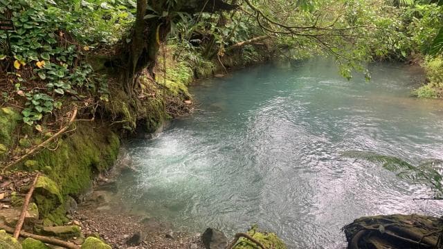 Rio Celeste, explore the rainforest and great waterfall - Dominican Republic