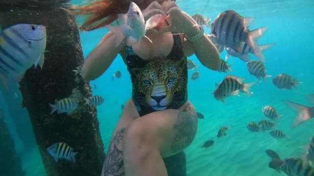 VIP Snorkeling with Turtles Adventure - Dominican Republic