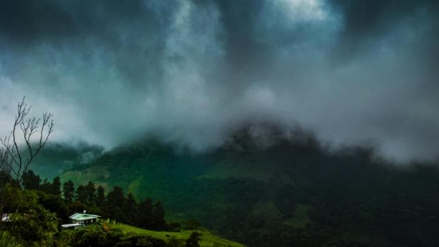 Monteverde: Half-Day Bird Watching Tour - Dominican Republic